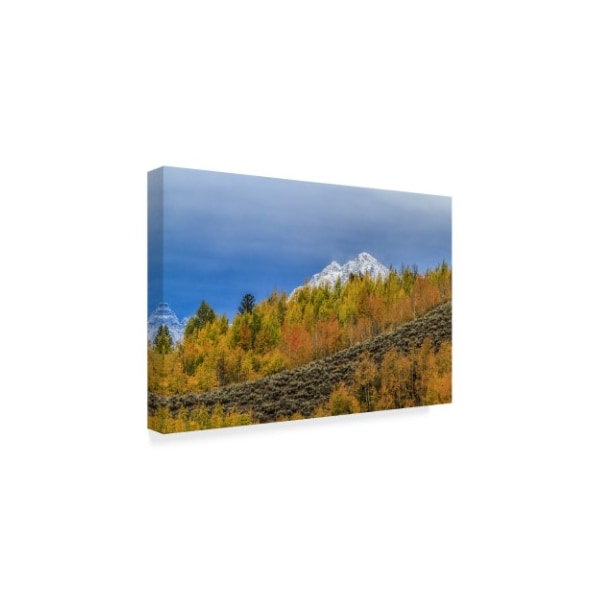 Galloimages Online 'Mountain Fall Color' Canvas Art,22x32